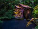 fall leaves by waterwheel green background pond fall leaves by waterwheel green background pond