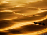 wisemen journey through the desert sands wisemen journey through the desert sands