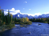 trees and mountains on river in fall trees and mountains on river in fall