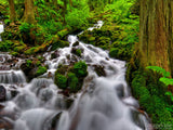 water tumbling down a forest creek background water tumbling down a forest creek background
