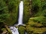 vertical forest falls vertical forest falls
