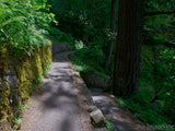 walking the path walking the path