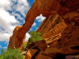 Utah wall arch before the colapse Utah wall arch before the colapse