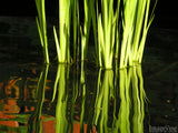 water plants reflected on the pond water plants reflected on the pond