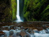 waterfall in the mossy canyon waterfall in the mossy canyon