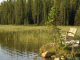 a bench at the edge of the lake water a bench at the edge of the lake water