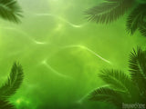 waving palm branches background waving palm branches background