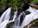 White Water and falls White Water and falls