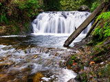 wide water fall in the background wide water fall in the background