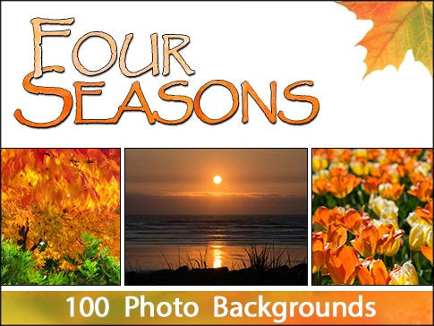 Four Seasons Backgrounds Bundle