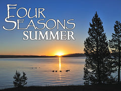 Four Seasons Summer Backgrounds Collection