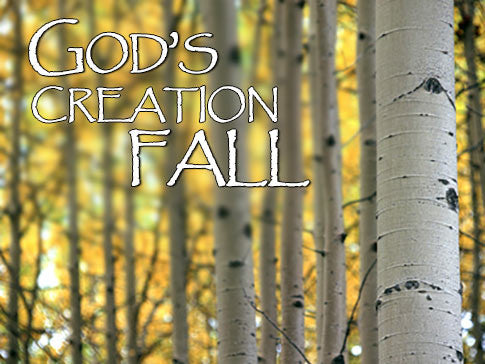 God's Creation Fall Backgrounds God's Creation Fall Backgrounds