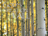 God's Creation Backgrounds Bundle God's Creation Backgrounds Bundle
