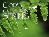 God's Creation Backgrounds Bundle God's Creation Backgrounds Bundle