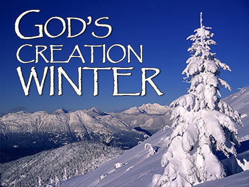 God's Creation Winter Backgrounds God's Creation Winter Backgrounds