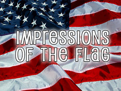 impressions of the flag background collection