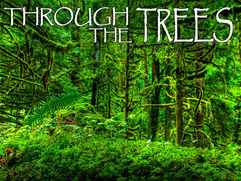 Through the Trees Backgrounds Collection Through the Trees Backgrounds Collection