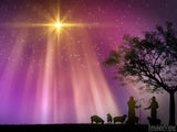flocks at night christmas story backgrounds