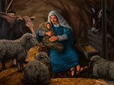 christmas illustrations mary with baby jesus in stable