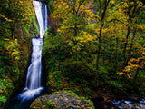 waterfall with fall autumn colored trees