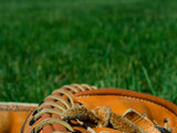 cathers baseball mitt on grass