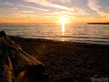 logs on a beach highlighted by the sunrise