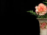 mother's day carnations in vase