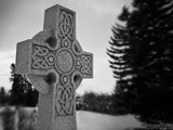 Celtic stone cross in trees
