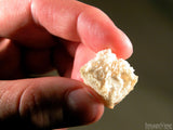 hand holding a piece of communion bread
