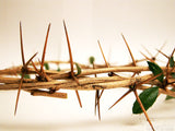 crown of thorns on a white background