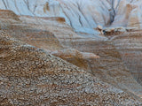 dry cracks in desert mud