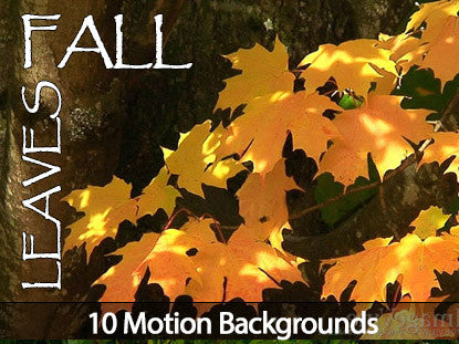 Fall Leaves Motion Backgrounds Collection