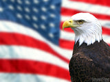 eagle with us flag as background