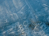 closeup of frost covered ice