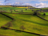 uk green fields with rock walls