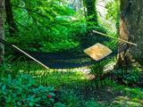 hammock in the garden of trees