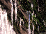 icicles hang from rock