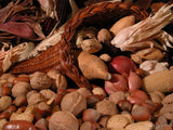 harvest of plenty nuts walnuts