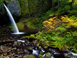 hidden waterfall backgrounds in fall colors