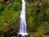 horsetail falls Oregon 