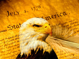declaration of independence background with impression of eagle