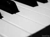 closeup of piano ivory keys