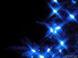 christmas background blue lights on a outdoor fir tree