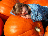 little girl on giant pumpkin