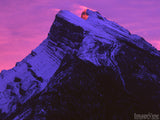 pink background highlights majestic mountain