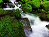 water in creek cascades over mossy rocks
