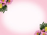 pink background for mother's day with flowers