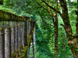 old stone bridge leads the way through the forest