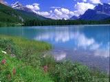peaceful blue lake with mountains and purple flowers