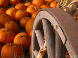 pumpkins by old wagon wheel